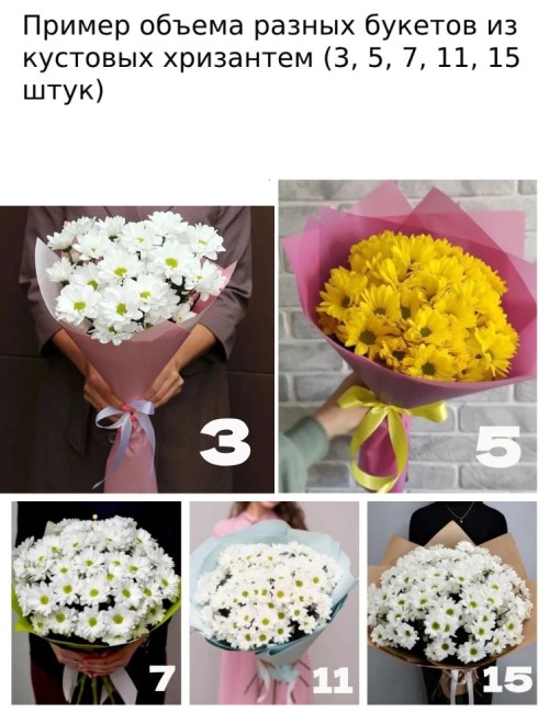 Букет цветов "Ромашка" Букет цветов "Ромашка"